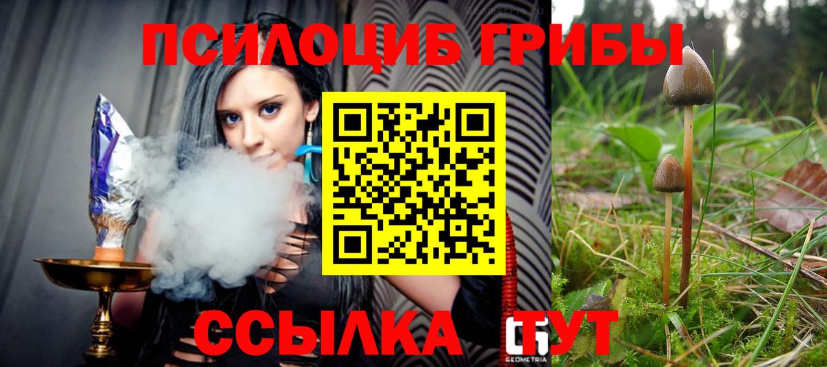 Галлюциногенные грибы ЛСД Баксан
